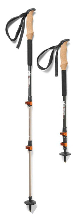 Single cheap hiking pole